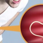 WhatsApp Image 2026-01-21 at 6.48.13 AM