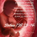 WhatsApp Image 2026-01-22 at 7.59.52 AM