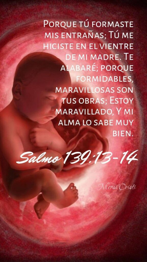 WhatsApp Image 2026-01-22 at 7.59.52 AM