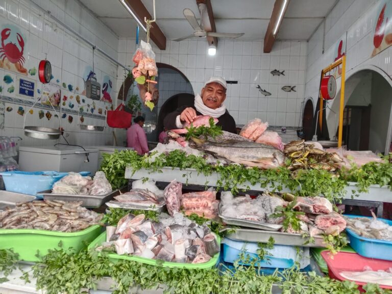 ac06ad08-142c-43cf-a5bc-4c46ac9c6509