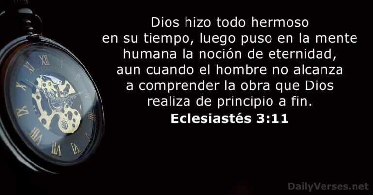 WhatsApp Image 2026-02-01 at 3.22.35 PM