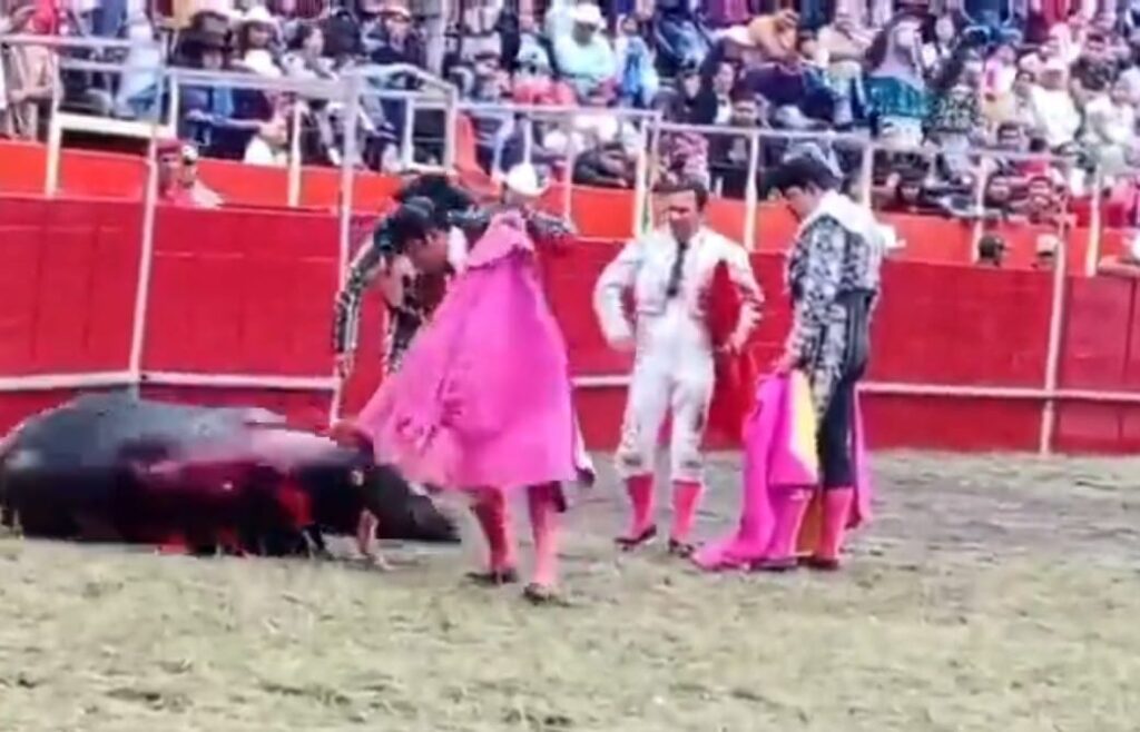 WhatsApp Image 2026-02-08 at 3.09.11 PM