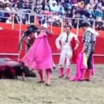 WhatsApp Image 2026-02-08 at 3.09.11 PM