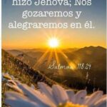 WhatsApp Image 2026-02-10 at 11.12.36 AM