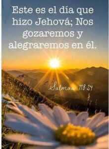 WhatsApp Image 2026-02-10 at 11.12.36 AM