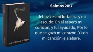 WhatsApp Image 2026-02-11 at 10.32.31 AM