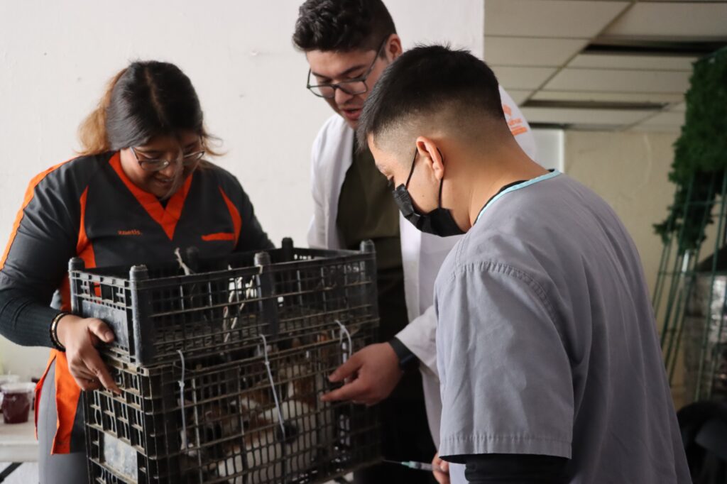 WhatsApp Image 2026-02-11 at 2.45.22 PM