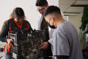 WhatsApp Image 2026-02-11 at 2.45.22 PM