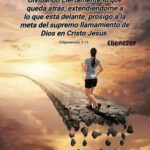 WhatsApp Image 2026-02-12 at 12.52.33 PM