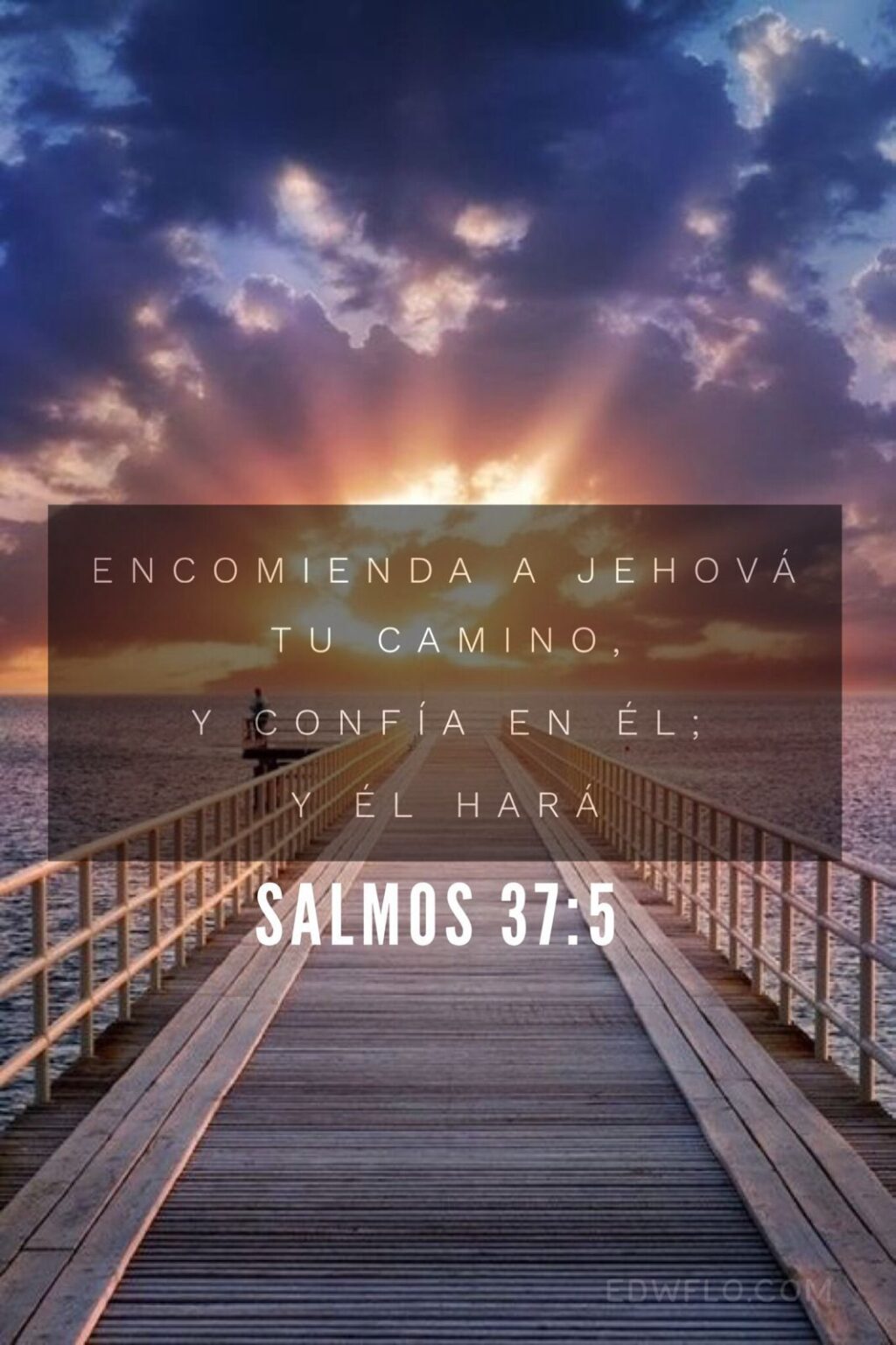 WhatsApp Image 2026-02-16 at 8.40.56 AM