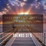 WhatsApp Image 2026-02-16 at 8.40.56 AM