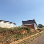 WhatsApp Image 2026-02-17 at 12.17.44 PM