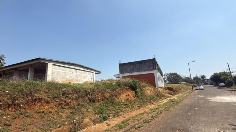 WhatsApp Image 2026-02-17 at 12.17.44 PM