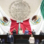 WhatsApp Image 2026-02-17 at 12.29.12 PM