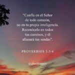 WhatsApp Image 2026-02-18 at 8.02.07 AM