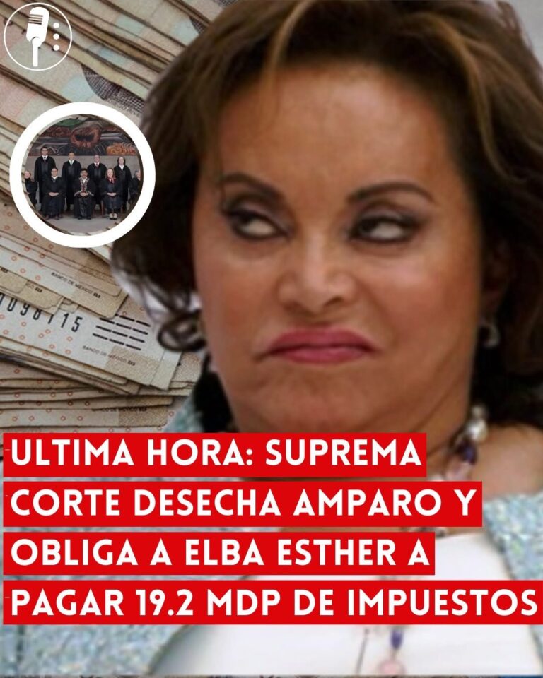 WhatsApp Image 2026-02-19 at 5.00.40 PM