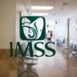 WhatsApp Image 2026-02-20 at 8.04.01 AM