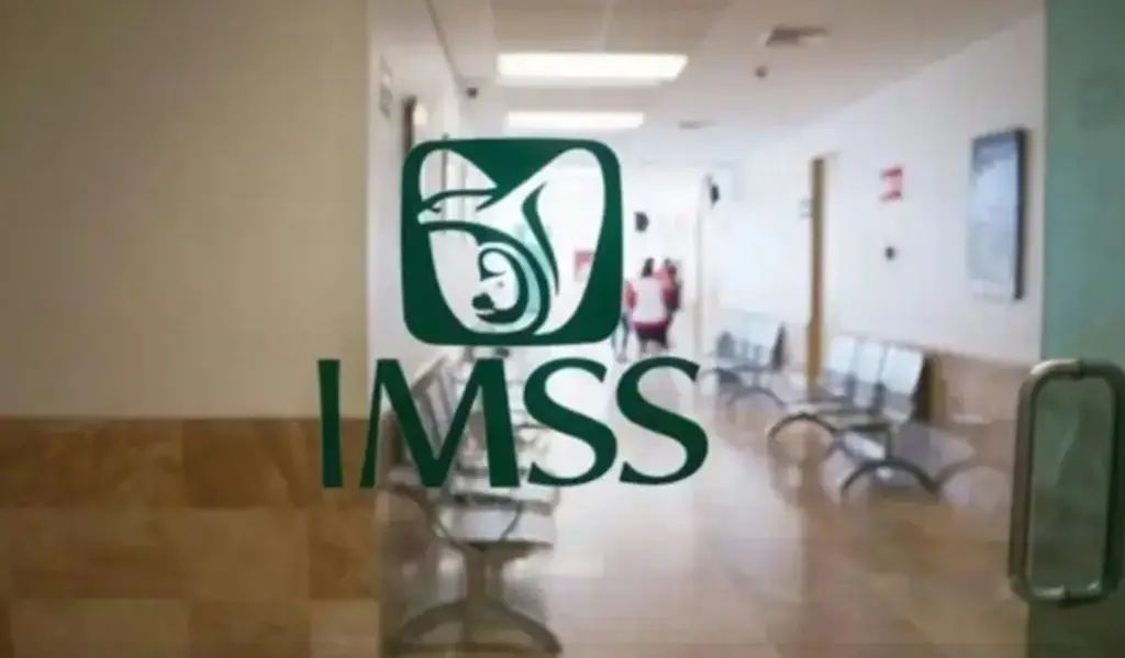 WhatsApp Image 2026-02-20 at 8.04.01 AM