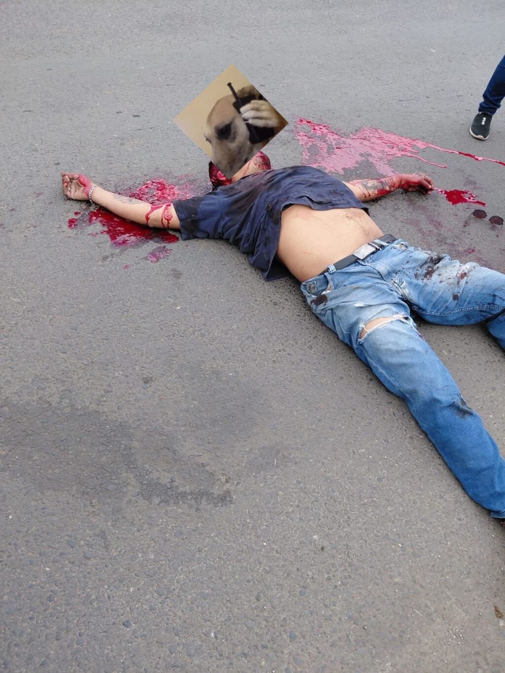 WhatsApp Image 2026-02-24 at 5.13.08 PM