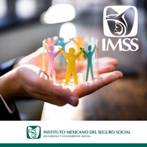 WhatsApp Image 2026-02-25 at 8.05.17 AM