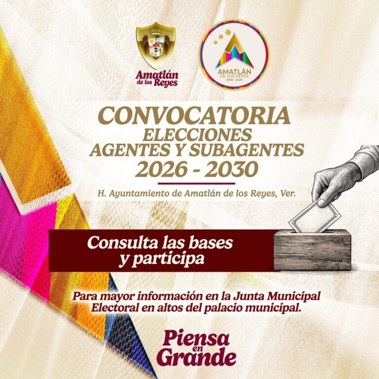 WhatsApp Image 2026-02-28 at 3.43.02 PM