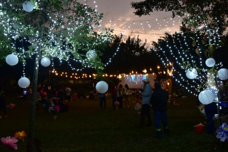 08550138-57ce-43a7-bf80-d0f4fcad0592