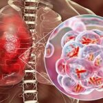 WhatsApp Image 2026-03-23 at 1.22.43 PM