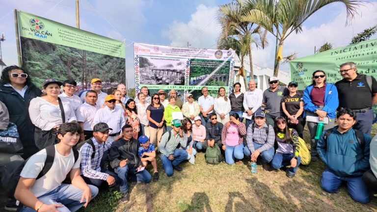 a965f739-8787-4ce6-a859-b204ad7cb4a9